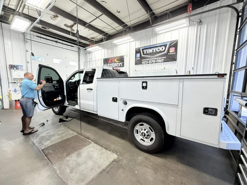 window tint